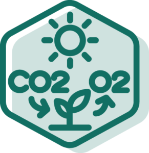Hexagonal LEGUMINOSE icon illustrating CO2 emissions