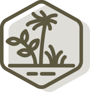 Hexagonal LEGUMINOSE icon illustrating intercropping