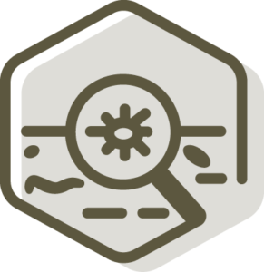 Hexagonal LEGUMINOSE icon illustrating the soil microbiome