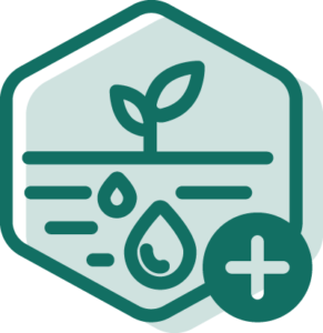Hexagonal LEGUMINOSE icon illustrating water retention