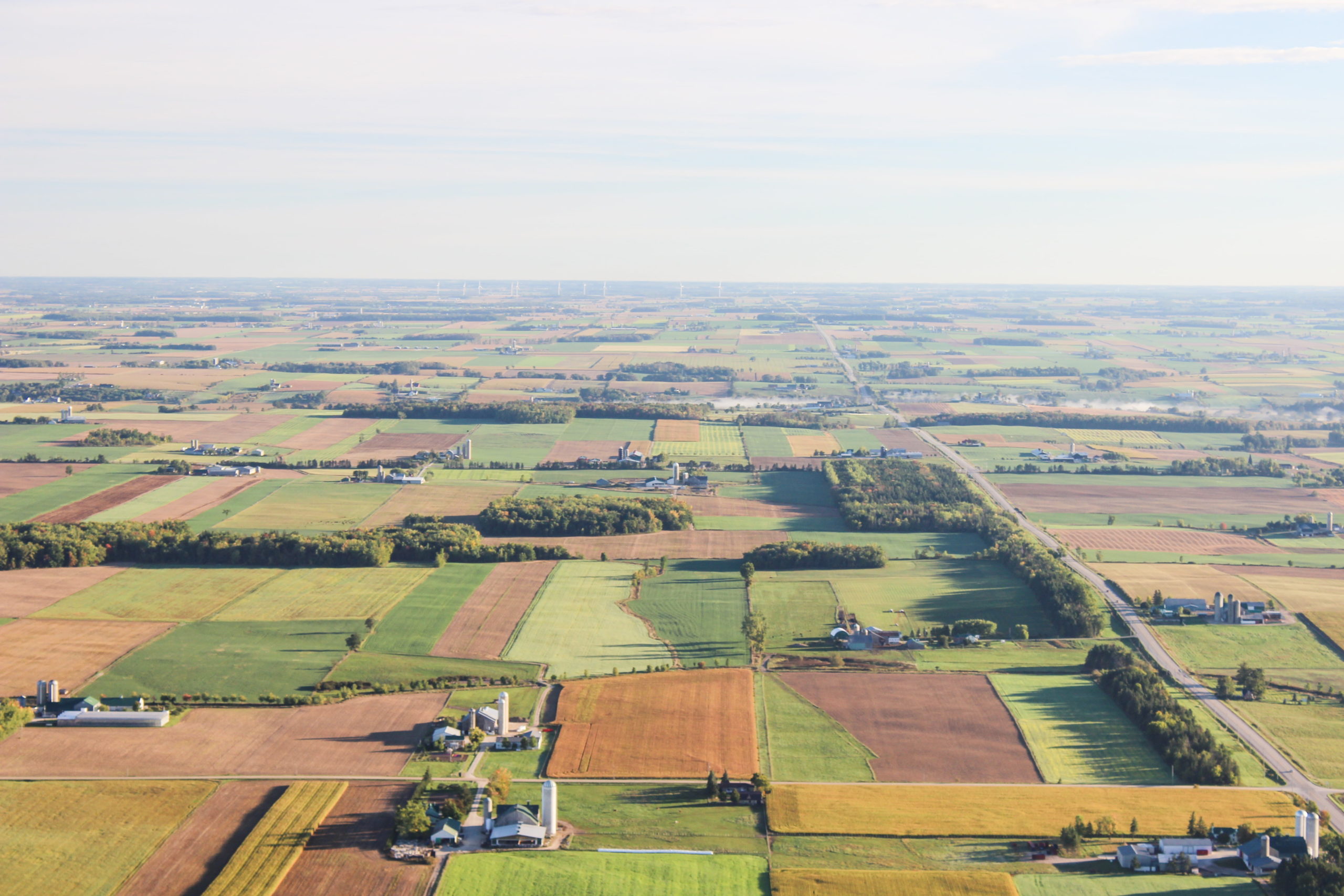 Aerial view of fields