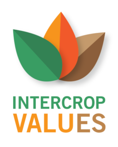 LOGO of the LEGUMINOSE sister project IntercropVALUES