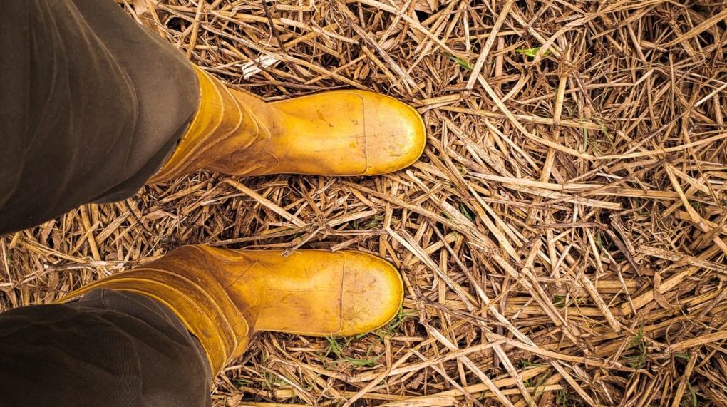 A Person Wearing Yellow Boots while Standing on Brown Field