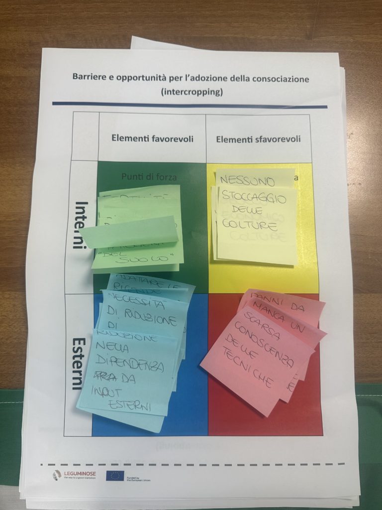 SWOT analysis