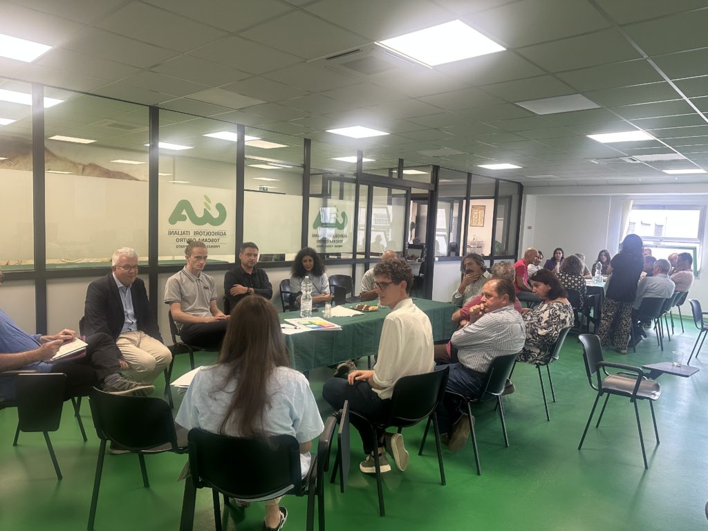 Group discussing at LEGUMINOSE workshop