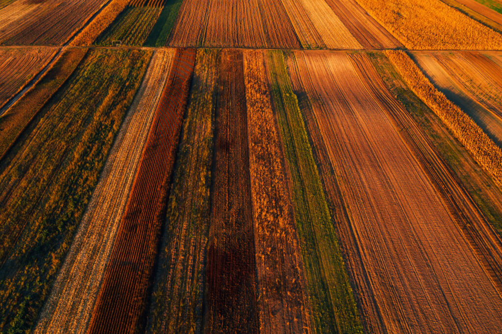 Aerial view of cultivated agricultural fields
