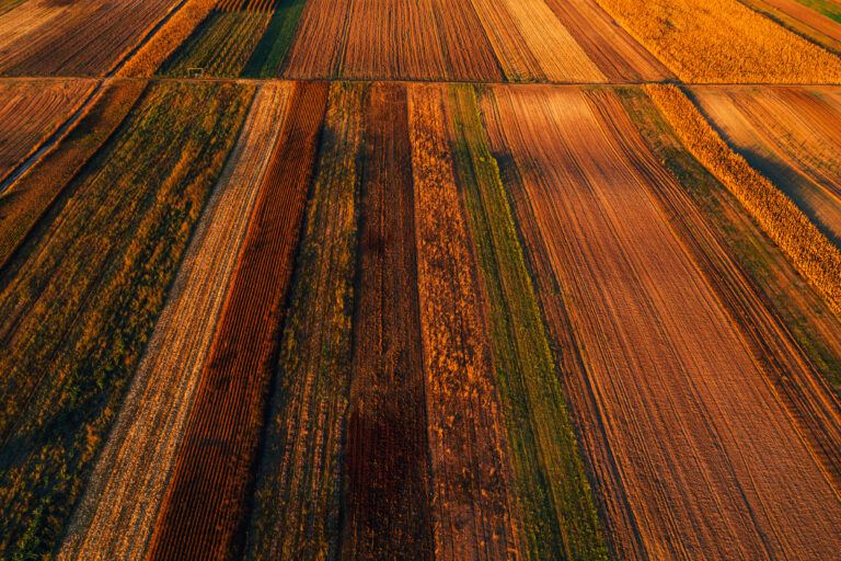 Aerial view of cultivated agricultural fields