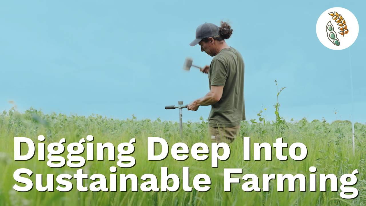 Researcher taking samples at a field site. Overlaid text reads "Digging deep into sustainable farming"