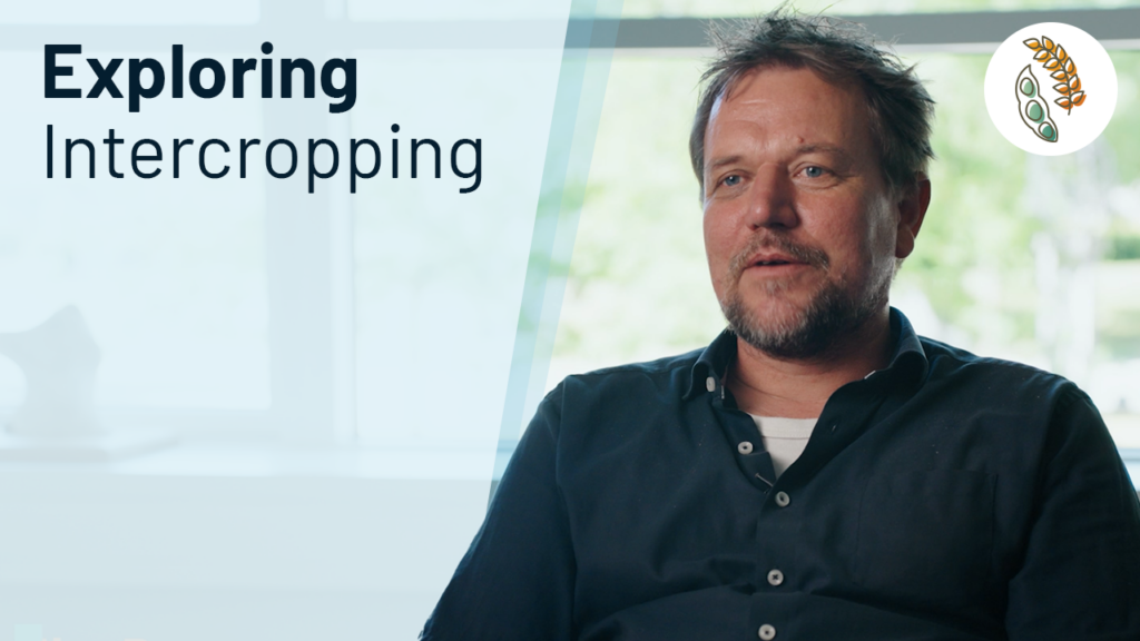 "Exploring Intercropping" next to a picture of Jim Rasmussen