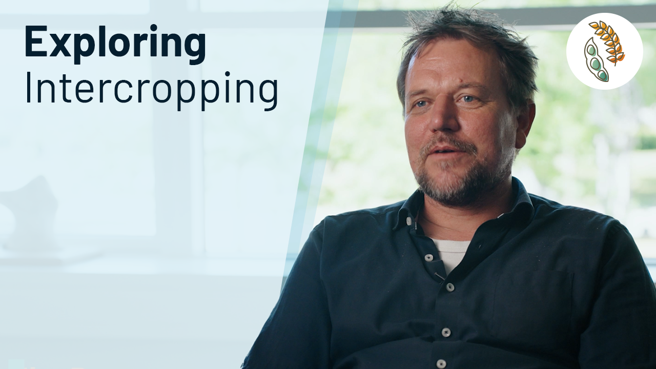 "Exploring Intercropping" next to a picture of Jim Rasmussen